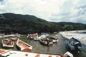 photo : bateaux de pêche